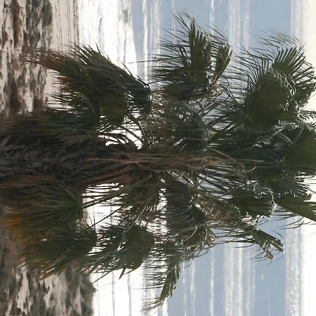 Minvas Playa غراو ذي كاستيّيون