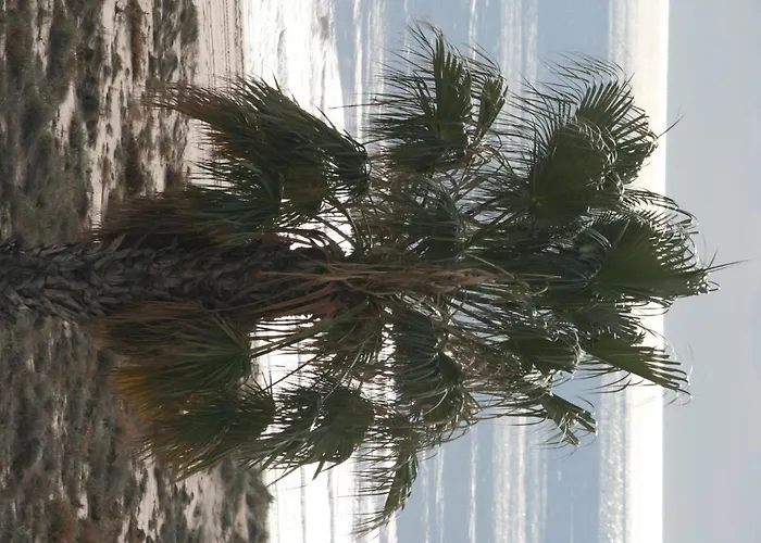 Minvas Playa Grao de Castellon