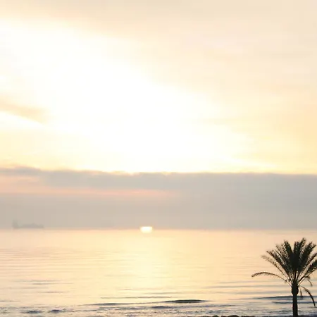 Minvas Playa